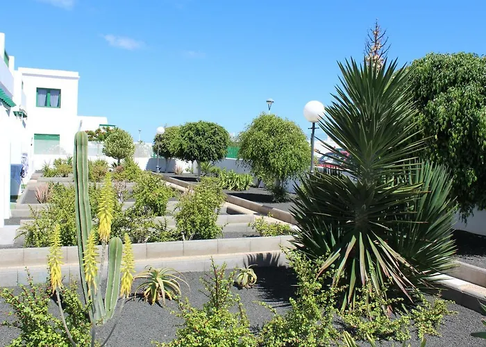 Mimosas Puerto del Carmen (Lanzarote)