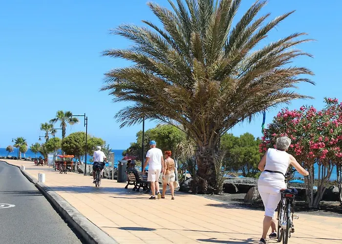 Apartament Mimosas *