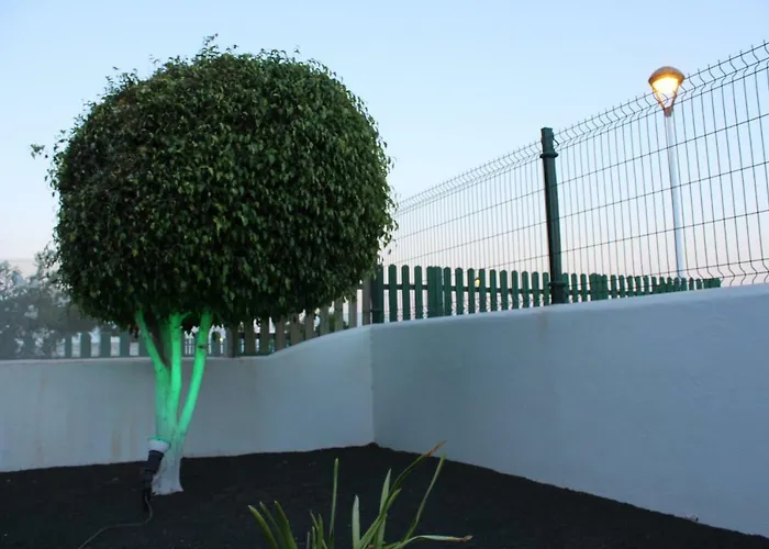 Mimosas Apartman Puerto del Carmen