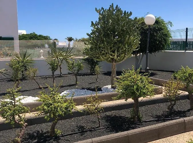 Mimosas * Puerto del Carmen (Lanzarote)