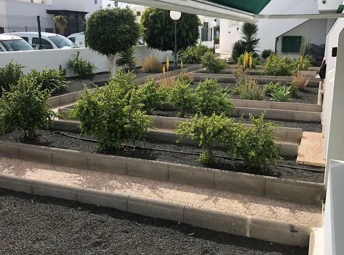 Mimosas Puerto del Carmen (Lanzarote)