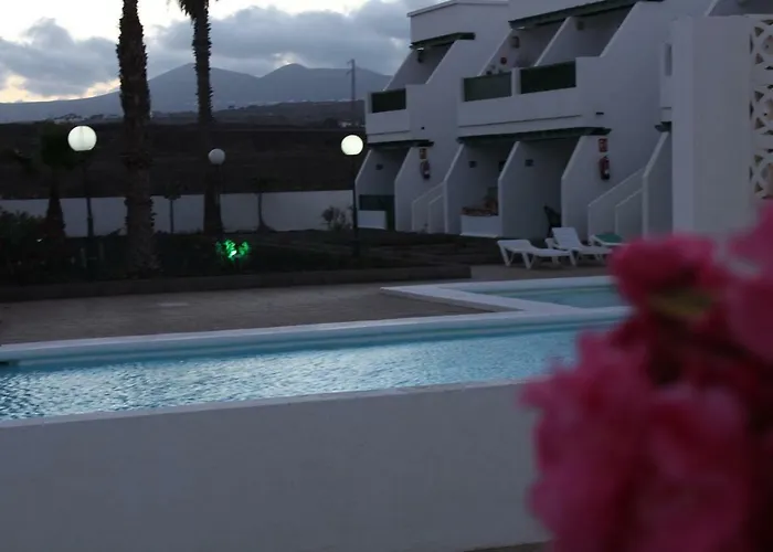 Mimosas * Puerto del Carmen (Lanzarote)